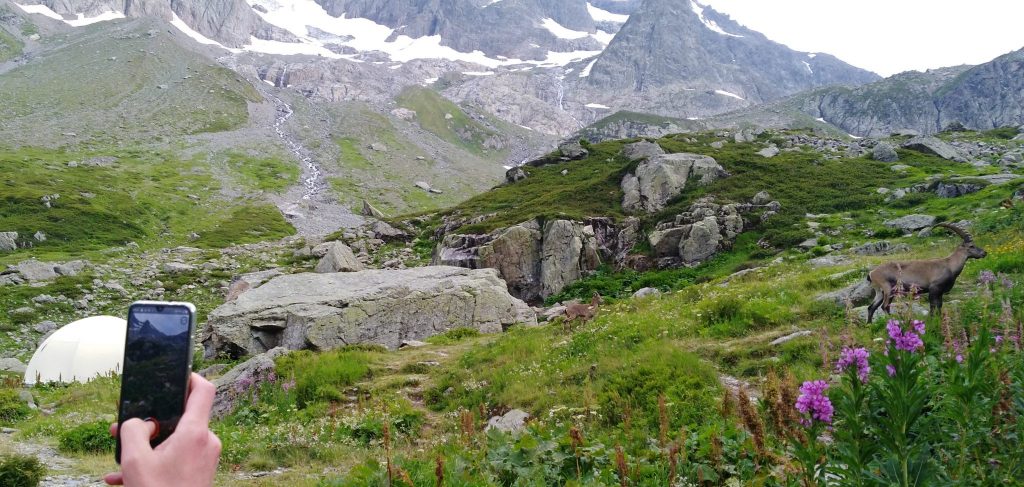 Près du refuge de la Pierre à Bérard