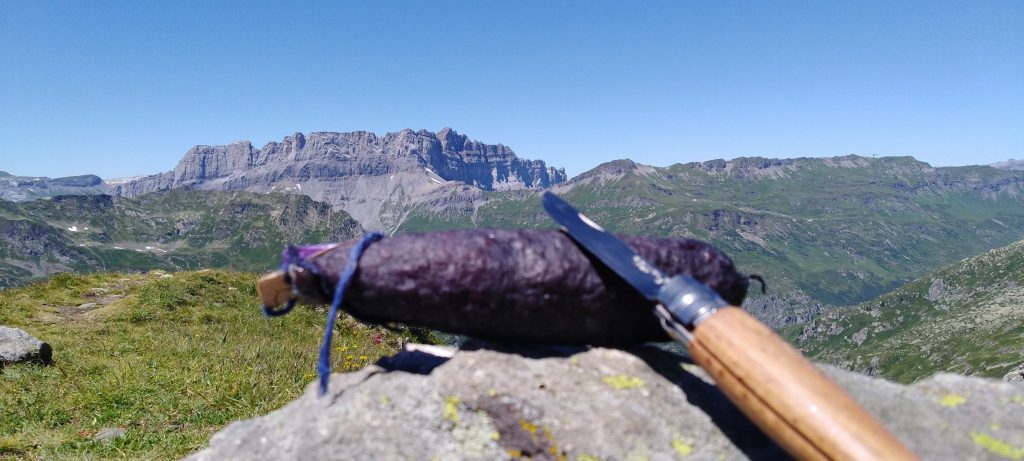 Vue sur le massif des Fiz
