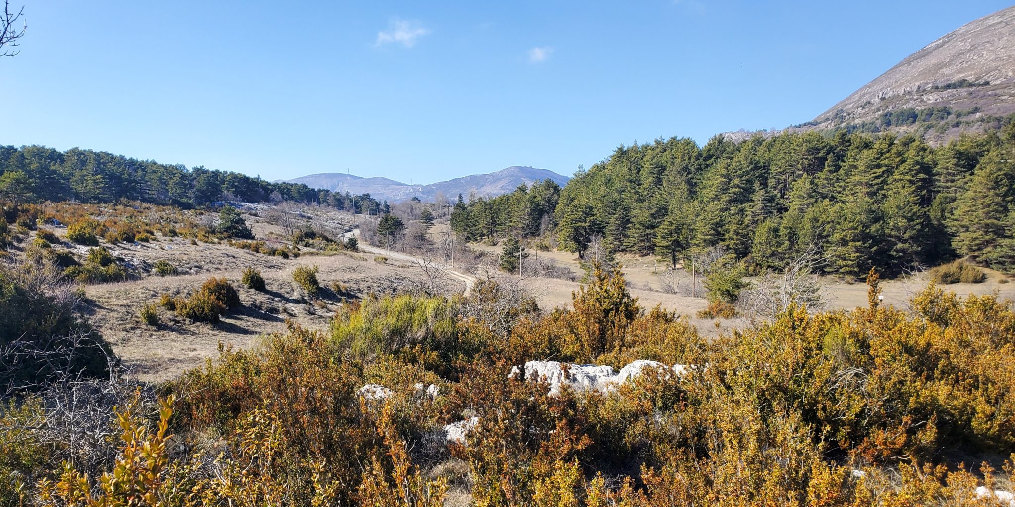 Randonnée « La route départementale 12 » 
